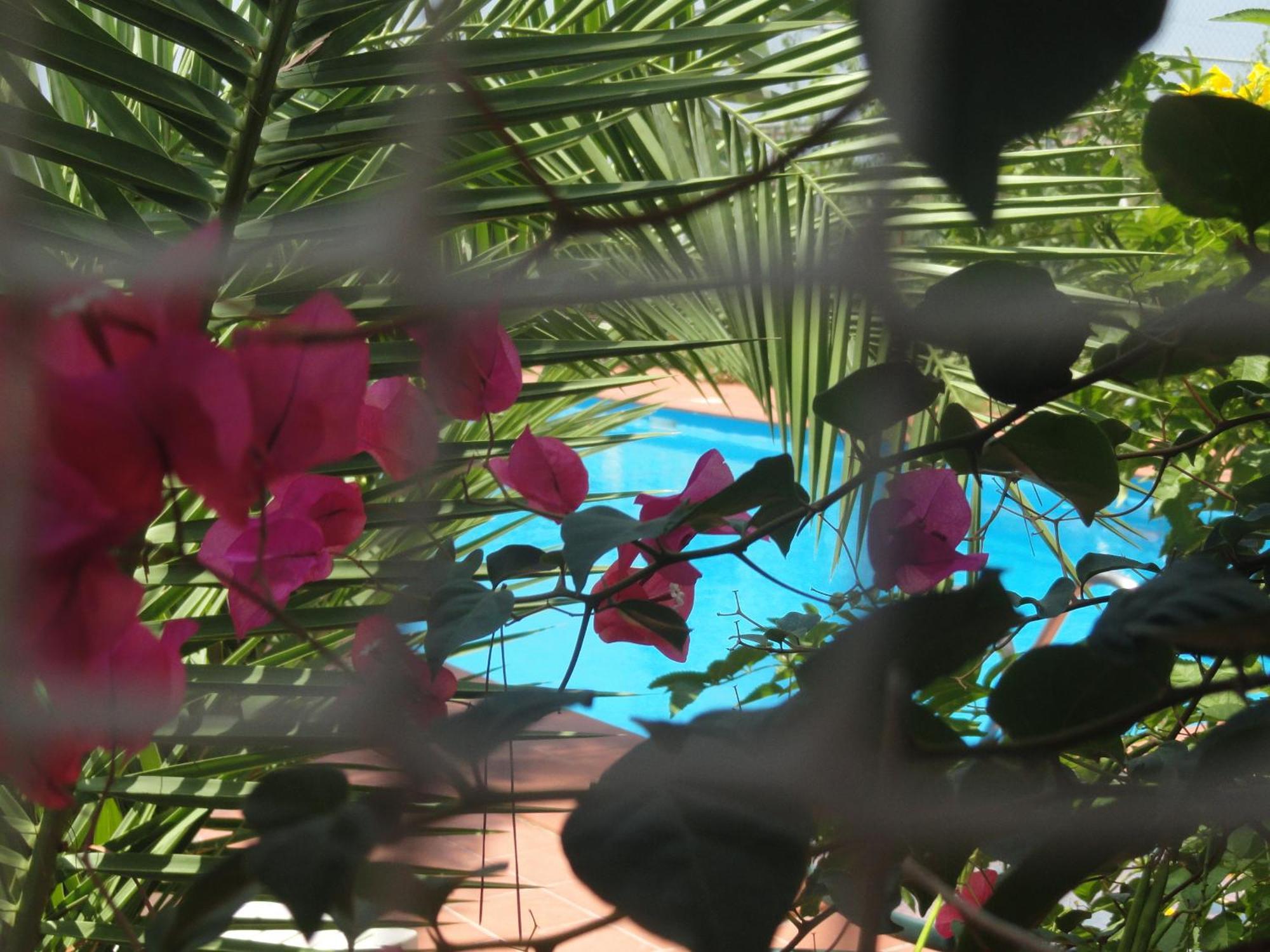 Villa Amodeo Paceco Εξωτερικό φωτογραφία