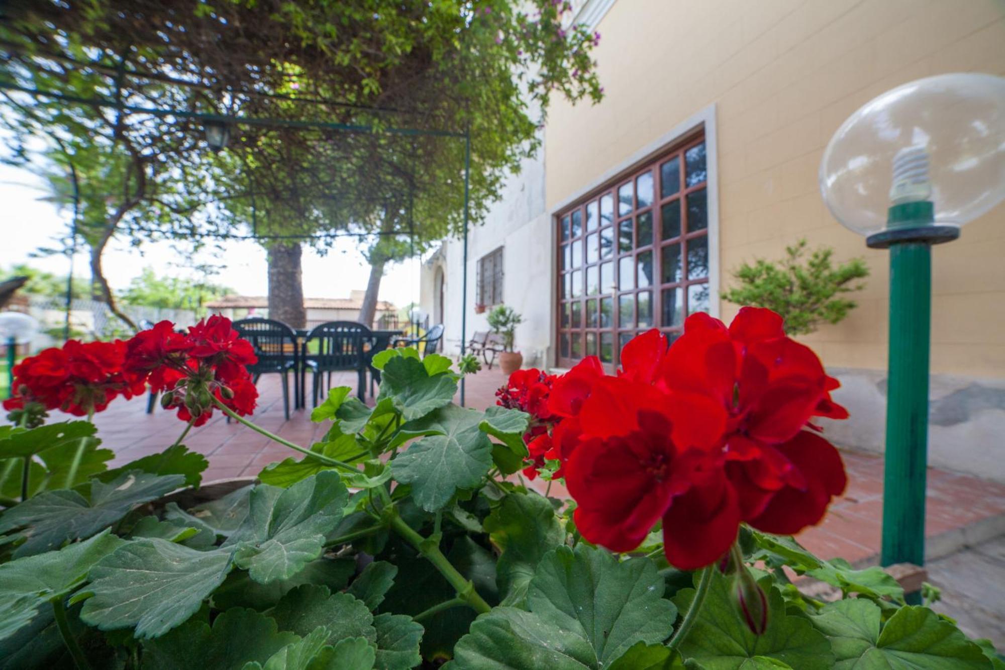 Villa Amodeo Paceco Εξωτερικό φωτογραφία