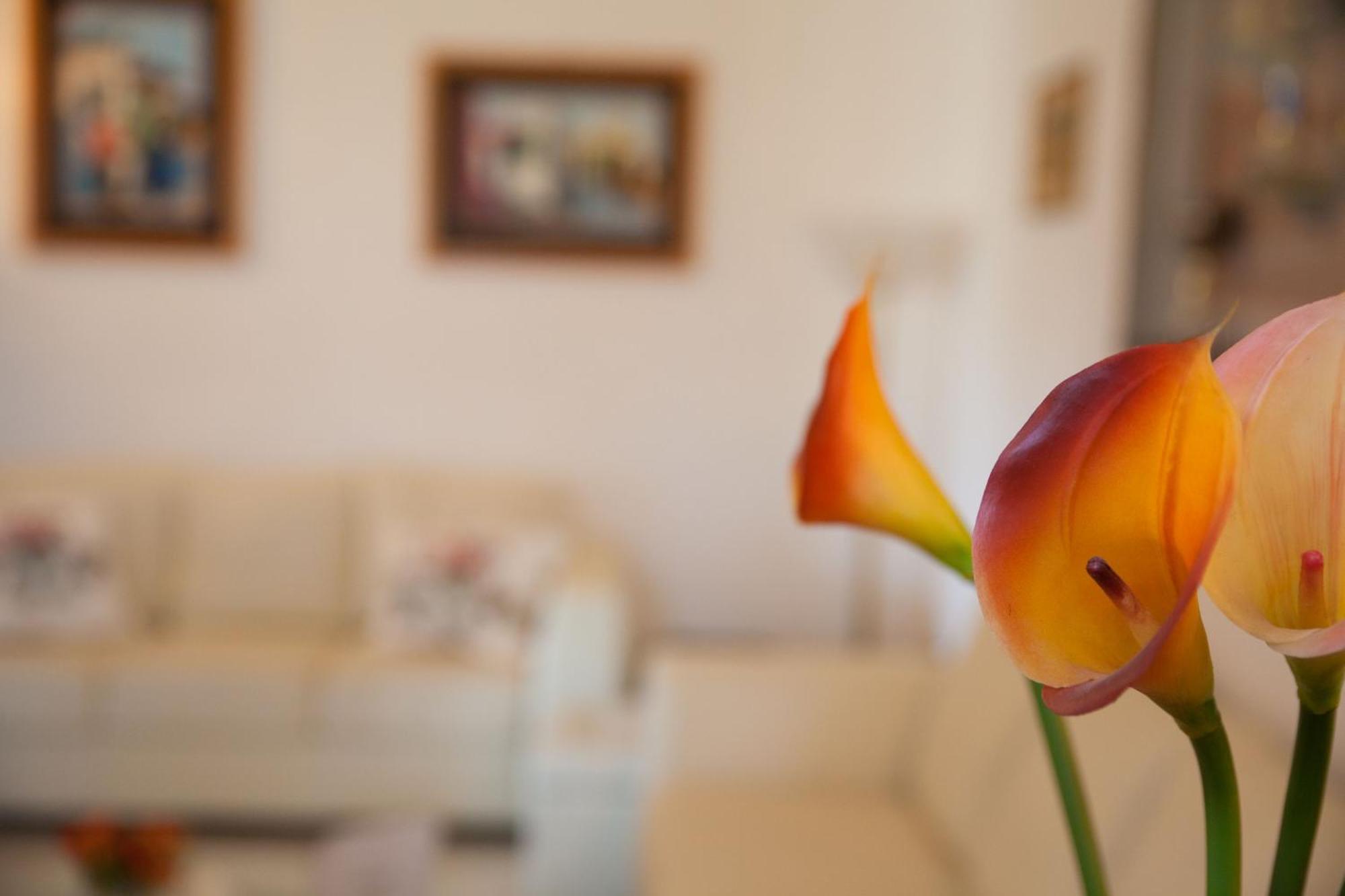 Villa Amodeo Paceco Εξωτερικό φωτογραφία